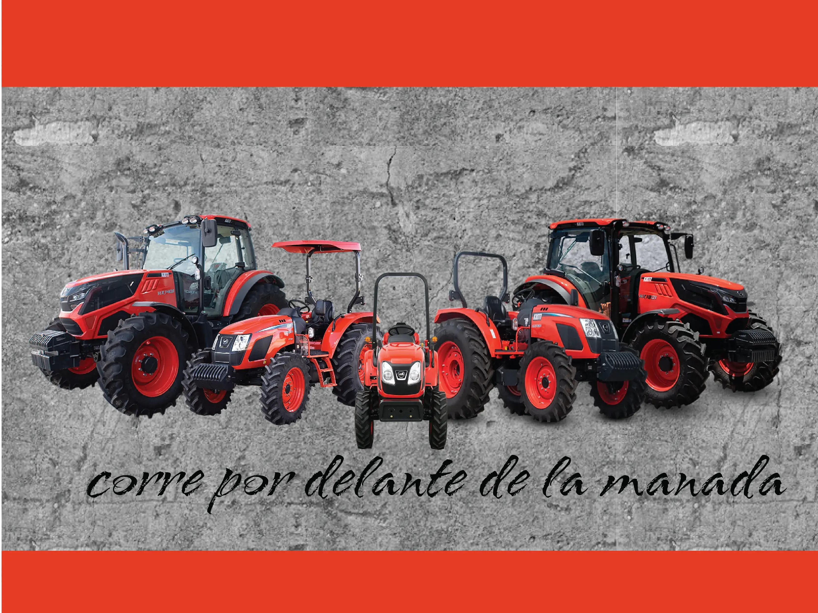 Productos Nueva Marca